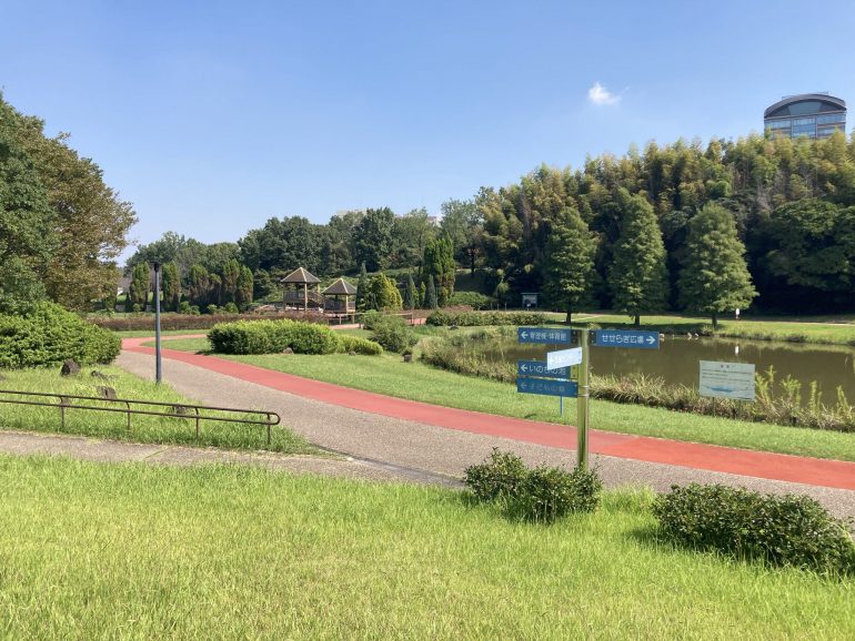 けんもりコース