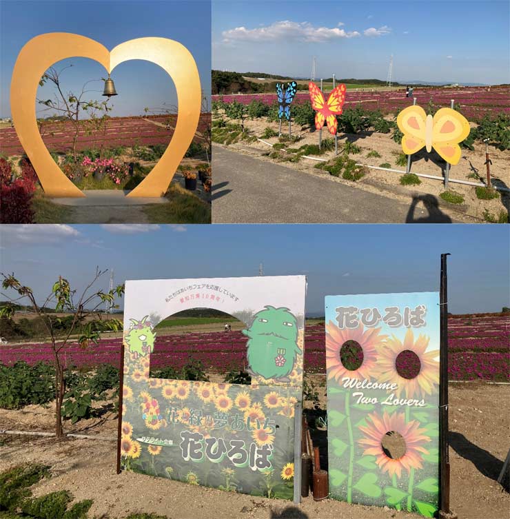 観光農園花ひろば フォトスポット