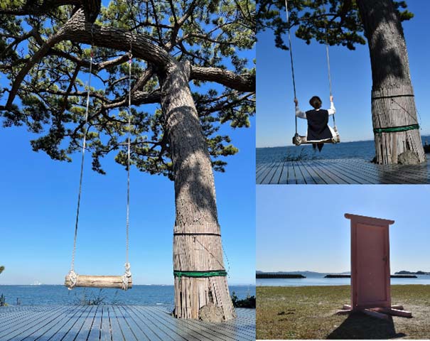 写真映えスポット！ 