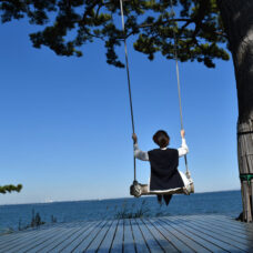 日間賀島ブランコ