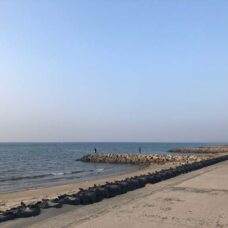 野間海岸シーグラス