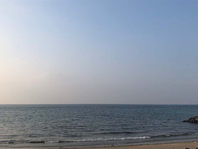 野間海岸シーグラス