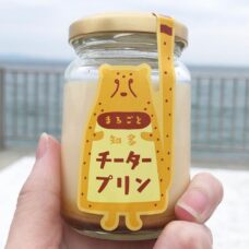 知多チータープリンとぶらり知多の海散歩