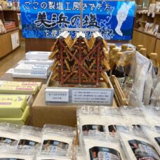 知多半島人気エリア 灯台、小野浦海岸に隣接 食と健康の館