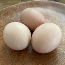 卵は知多半島の名産品！ 黄身が濃厚！稀少な名古屋コーチン卵も