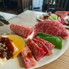 春の知多半島で美味しいものづくし 知多半島食いしん坊ツアー