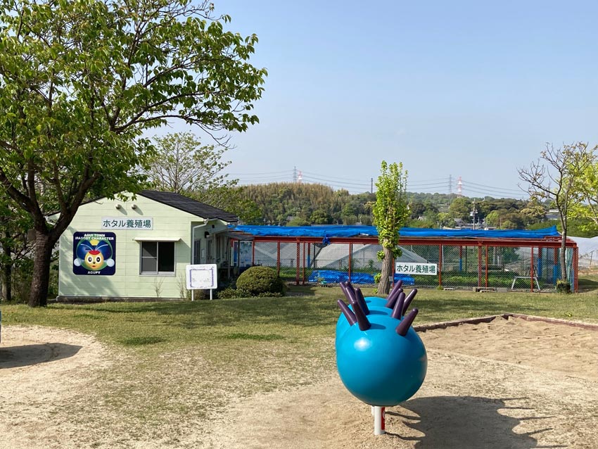 幻想的なホタルに癒やされる 白沢ホタルの里