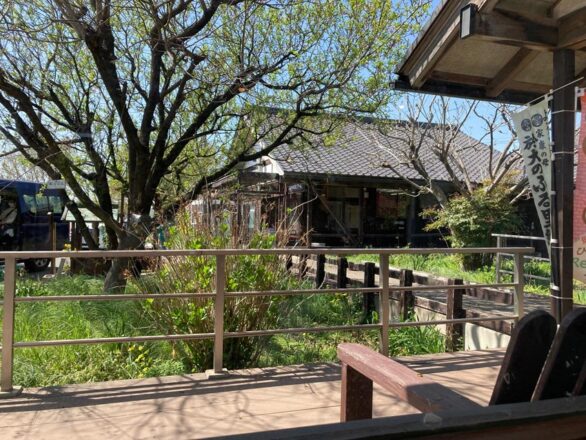 トロッと産みたて卵のオムライス 　ひかりのさとファームレストラン 