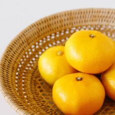 夏のミカン、秋のミカン、冬のミカン そう、一年中ミカンが美味しいのです