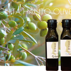 知多半島オリーブ